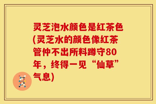 灵芝泡水颜色是红茶色(灵芝水的颜色像红茶管仲不出所料蹲守80年,终得一见“仙草”气息)