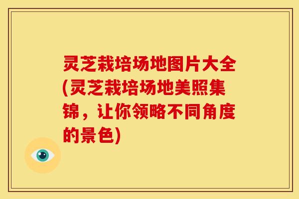 灵芝栽培场地图片大全(灵芝栽培场地美照集锦，让你领略不同角度的景色)