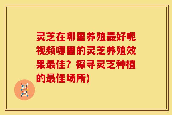 灵芝在哪里养殖最好呢视频哪里的灵芝养殖效果最佳？探寻灵芝种植的最佳场所)