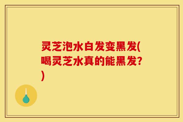灵芝泡水白发变黑发(喝灵芝水真的能黑发?)