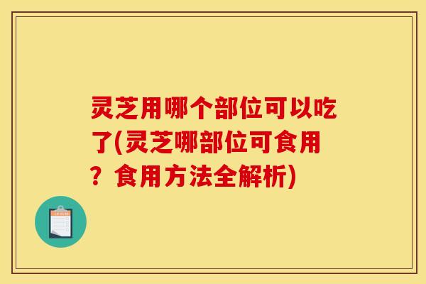 灵芝用哪个部位可以吃了(灵芝哪部位可食用?食用方法全解析)