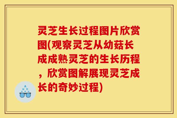 灵芝生长过程图片欣赏图(观察灵芝从幼菇长成成熟灵芝的生长历程,欣赏图解展现灵芝成长的奇妙过程)