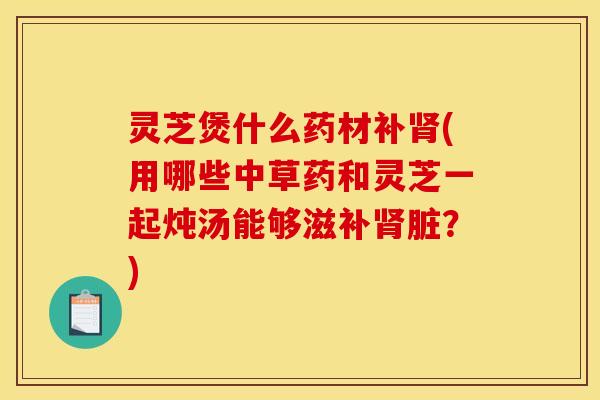 灵芝煲什么药材补肾(用哪些中草药和灵芝一起炖汤能够滋补肾脏?)