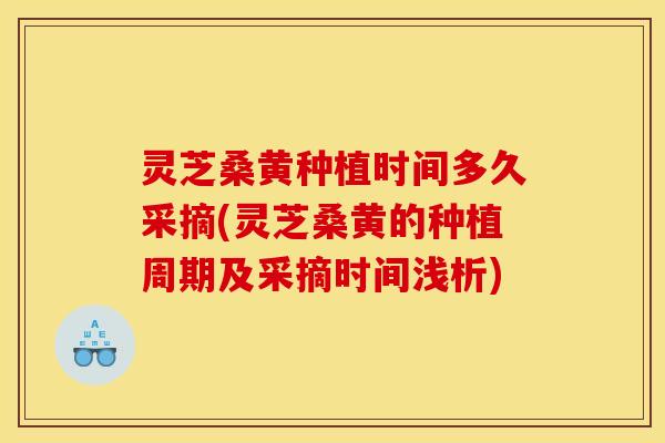 灵芝桑黄种植时间多久采摘(灵芝桑黄的种植周期及采摘时间浅析)