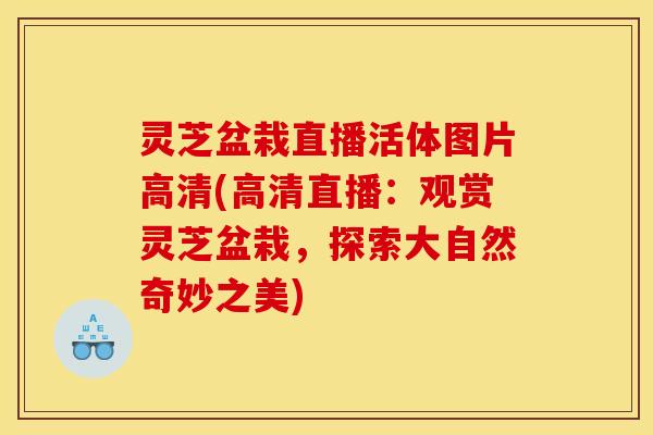 灵芝盆栽直播活体图片高清(高清直播:观赏灵芝盆栽,探索大自然奇妙之美)