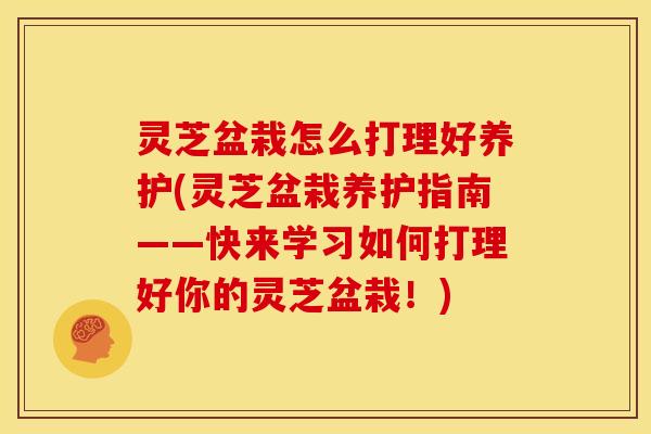 灵芝盆栽怎么打理好养护(灵芝盆栽养护指南——快来学习如何打理好你的灵芝盆栽!)