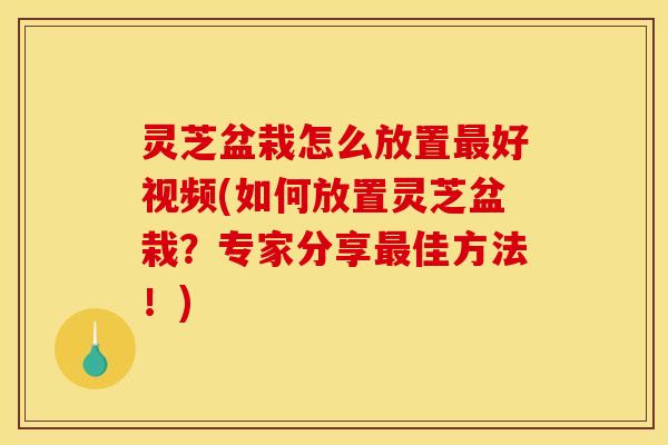 灵芝盆栽怎么放置最好视频(如何放置灵芝盆栽?专家分享最佳方法!)
