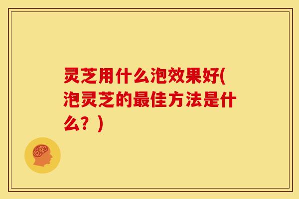 灵芝用什么泡效果好(泡灵芝的最佳方法是什么?)