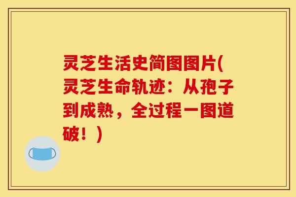 灵芝生活史简图图片(灵芝生命轨迹：从孢子到成熟，全过程一图道破！)