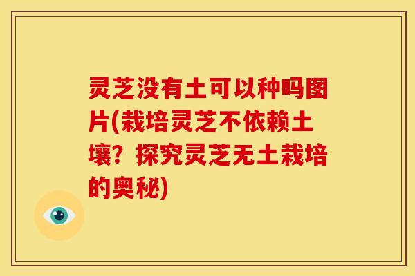 灵芝没有土可以种吗图片(栽培灵芝不依赖土壤？探究灵芝无土栽培的奥秘)