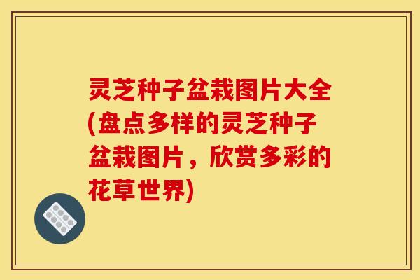 灵芝种子盆栽图片大全(盘点多样的灵芝种子盆栽图片,欣赏多彩的花草世界)
