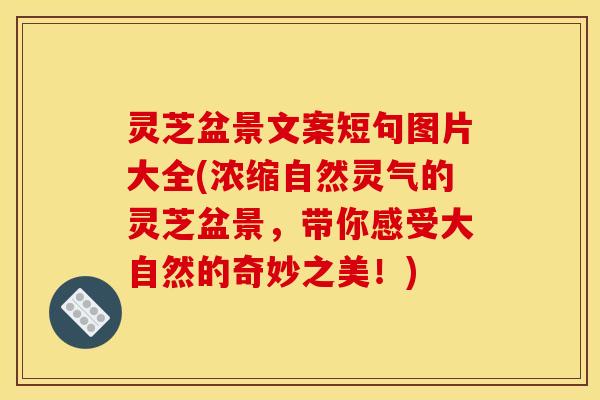 灵芝盆景文案短句图片大全(浓缩自然灵气的灵芝盆景，带你感受大自然的奇妙之美！)
