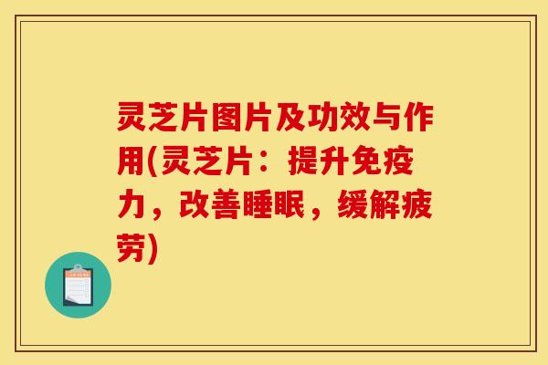 灵芝片图片及功效与作用(灵芝片：提升免疫力，改善睡眠，缓解疲劳)