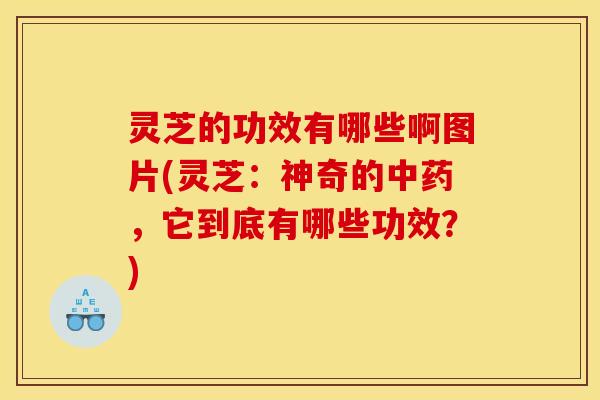 灵芝的功效有哪些啊图片(灵芝:神奇的中药,它到底有哪些功效?)