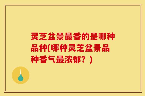 灵芝盆景最香的是哪种品种(哪种灵芝盆景品种香气最浓郁？)