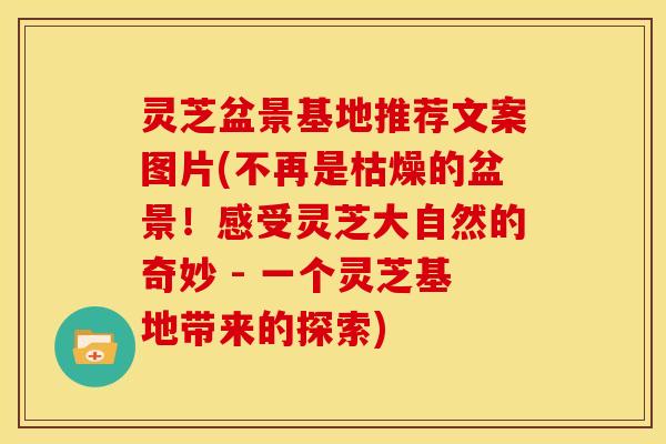 灵芝盆景基地推荐文案图片(不再是枯燥的盆景!感受灵芝大自然的奇妙 - 一个灵芝基地带来的探索)
