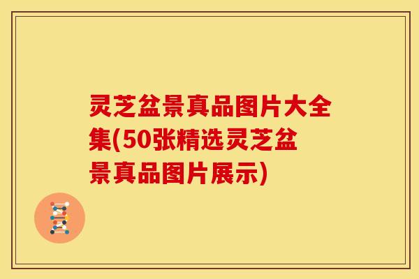 灵芝盆景真品图片大全集(50张精选灵芝盆景真品图片展示)
