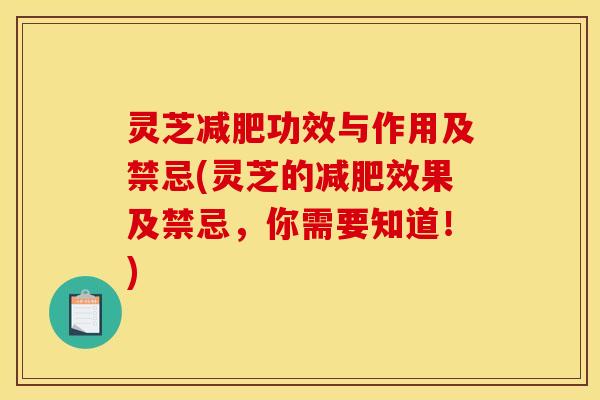 灵芝减肥功效与作用及禁忌(灵芝的减肥效果及禁忌,你需要知道!)