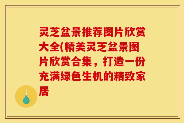 灵芝盆景推荐图片欣赏大全(精美灵芝盆景图片欣赏合集，打造一份充满绿色生机的精致家居