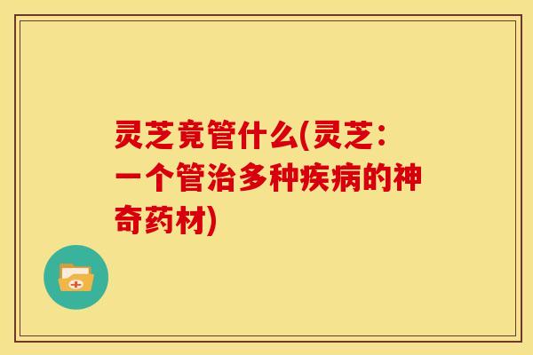 灵芝竟管什么(灵芝:一个管治多种疾病的神奇药材)