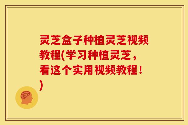 灵芝盒子种植灵芝视频教程(学习种植灵芝,看这个实用视频教程!)