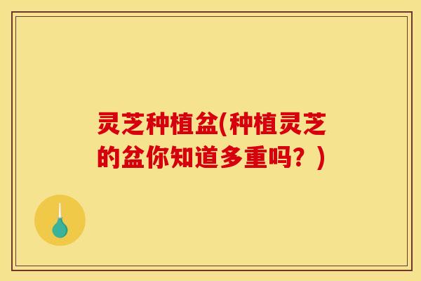 灵芝种植盆(种植灵芝的盆你知道多重吗?)