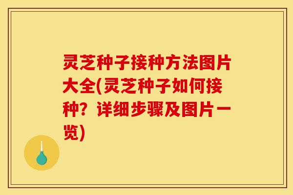灵芝种子接种方法图片大全(灵芝种子如何接种?详细步骤及图片一览)