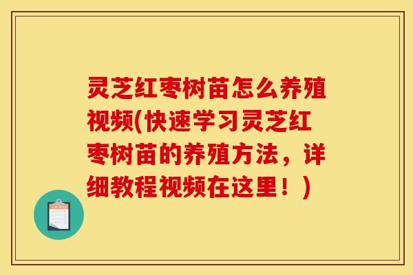 灵芝红枣树苗怎么养殖视频(快速学习灵芝红枣树苗的养殖方法，详细教程视频在这里！)