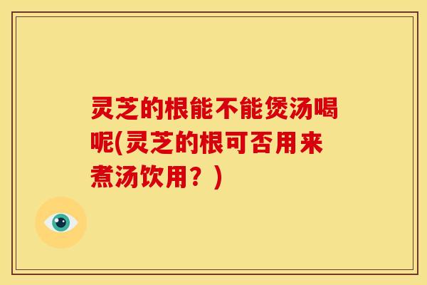 灵芝的根能不能煲汤喝呢(灵芝的根可否用来煮汤饮用?)