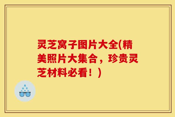 灵芝窝子图片大全(精美照片大集合,珍贵灵芝材料必看!)