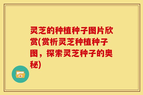 灵芝的种植种子图片欣赏(赏析灵芝种植种子图,探索灵芝种子的奥秘)