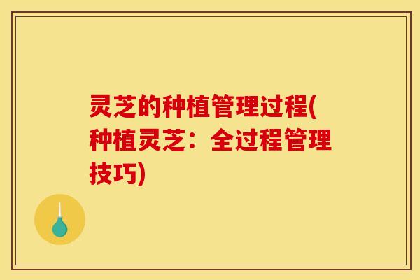 灵芝的种植管理过程(种植灵芝:全过程管理技巧)