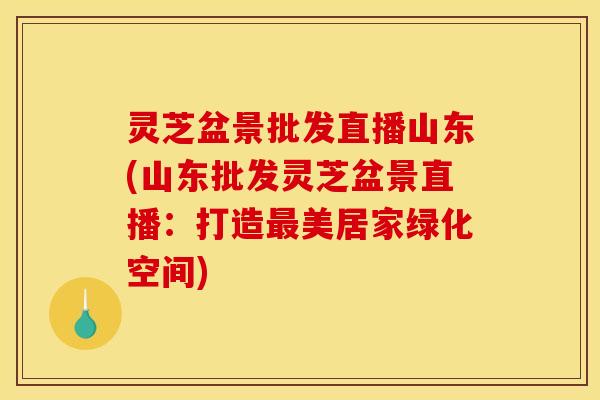 灵芝盆景批发直播山东(山东批发灵芝盆景直播:打造最美居家绿化空间)