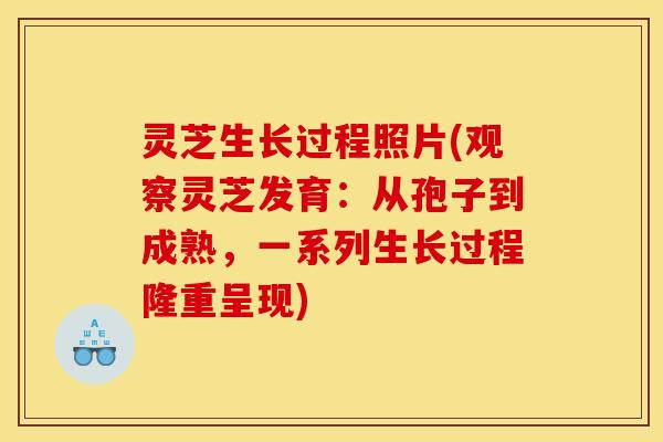 灵芝生长过程照片(观察灵芝发育：从孢子到成熟，一系列生长过程隆重呈现)