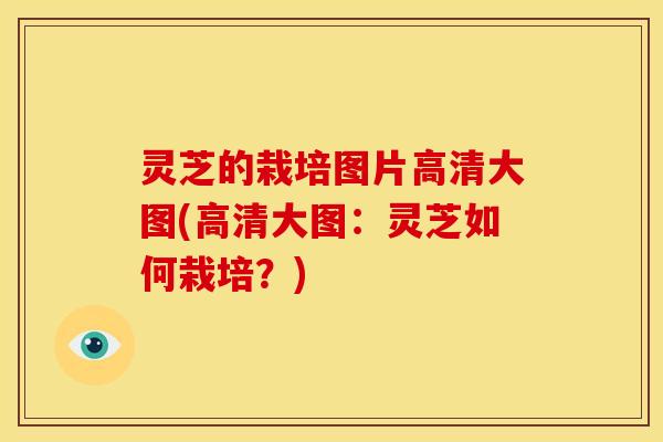 灵芝的栽培图片高清大图(高清大图:灵芝如何栽培?)