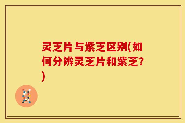 灵芝片与紫芝区别(如何分辨灵芝片和紫芝？)