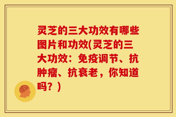 灵芝的三大功效有哪些图片和功效(灵芝的三大功效:免疫调节、抗肿瘤、抗衰老,你知道吗?)