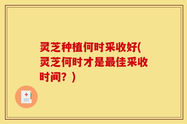 灵芝种植何时采收好(灵芝何时才是最佳采收时间?)