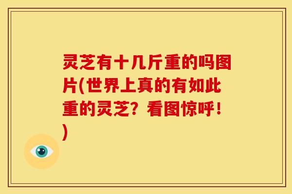 灵芝有十几斤重的吗图片(世界上真的有如此重的灵芝?看图惊呼!)