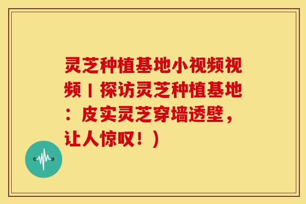 灵芝种植基地小视频视频丨探访灵芝种植基地：皮实灵芝穿墙透壁，让人惊叹！)