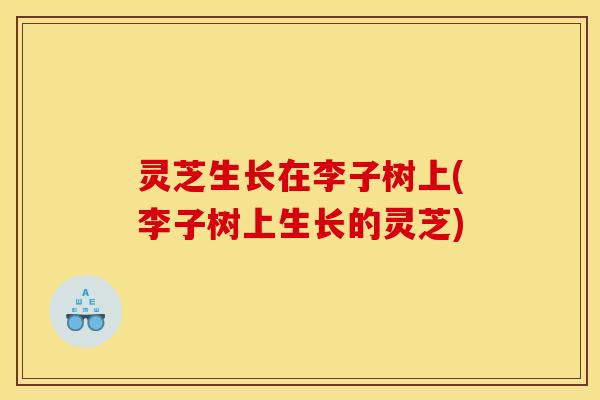 灵芝生长在李子树上(李子树上生长的灵芝)