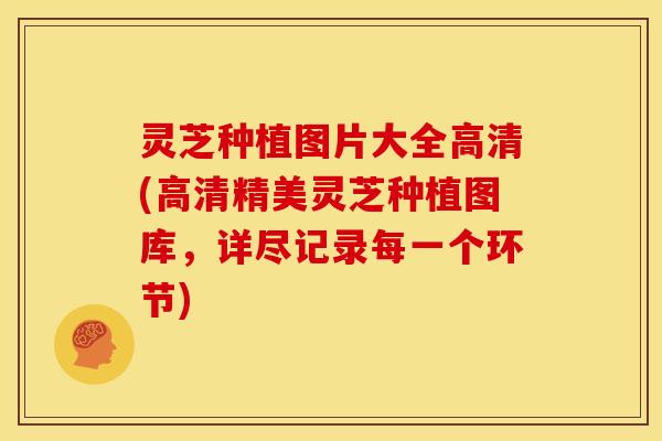 灵芝种植图片大全高清(高清精美灵芝种植图库，详尽记录每一个环节)