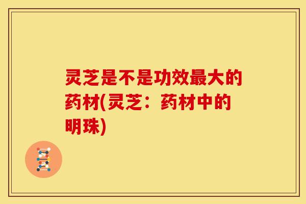 灵芝是不是功效最大的药材(灵芝:药材中的明珠)