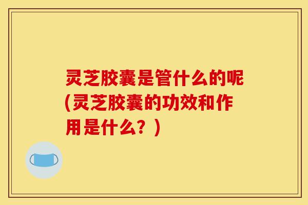 灵芝胶囊是管什么的呢(灵芝胶囊的功效和作用是什么?)