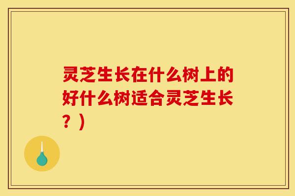 灵芝生长在什么树上的好什么树适合灵芝生长？)