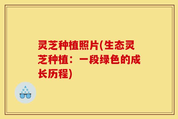 灵芝种植照片(生态灵芝种植：一段绿色的成长历程)