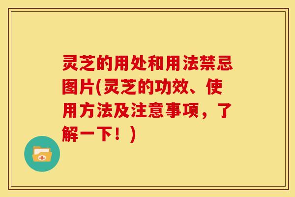 灵芝的用处和用法禁忌图片(灵芝的功效、使用方法及注意事项,了解一下!)