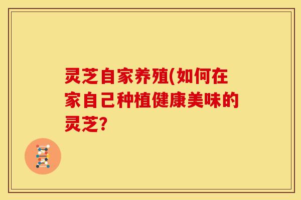 灵芝自家养殖(如何在家自己种植健康美味的灵芝?