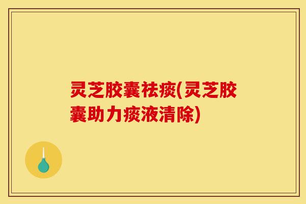 灵芝胶囊祛痰(灵芝胶囊助力痰液清除)