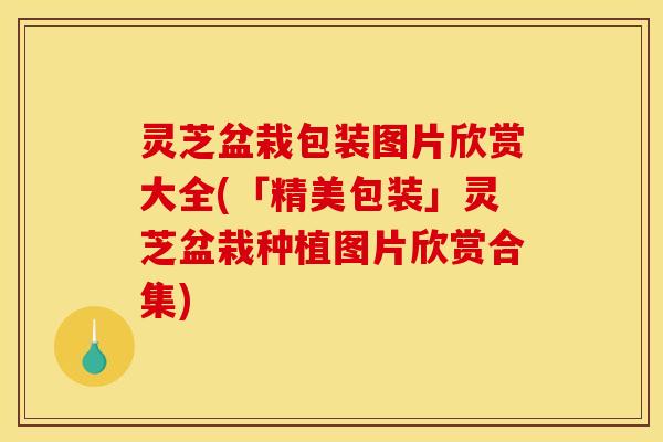 灵芝盆栽包装图片欣赏大全(「精美包装」灵芝盆栽种植图片欣赏合集)